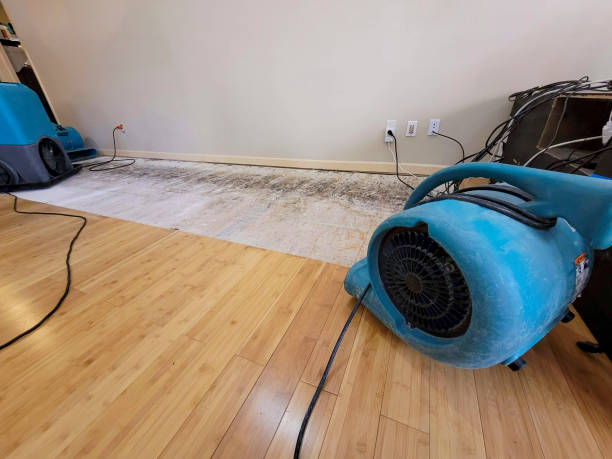 Reliable Basement Flood Cleanup contractor in Zion, IL by Hirex Water Damage