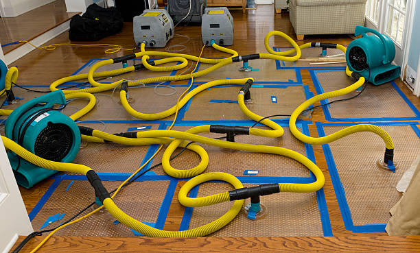Professional Basement Flood Cleanup technician working in Zion, IL